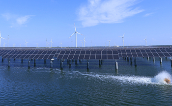 7db18731e41fdf128ba9edbed1a41304