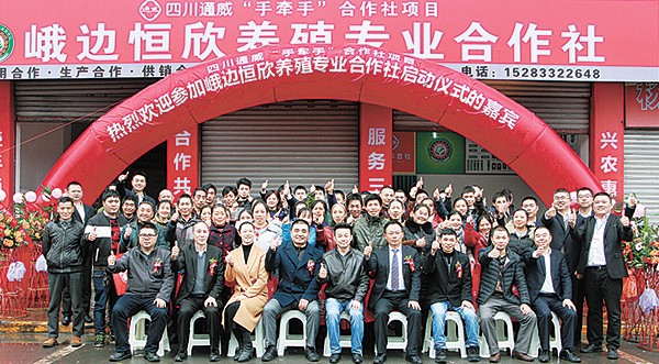 7d3707dee51745b7bf30ea1c8e0bb742