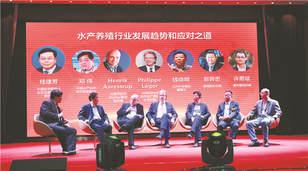 b41fdf6521a8a11579d591a20633483d