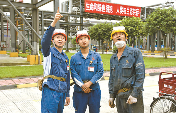 87c28bf1a89a4e8973ec57acfb45513d