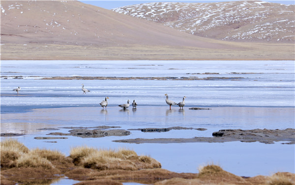 c06f0e4e516b0710655109936bcc2017