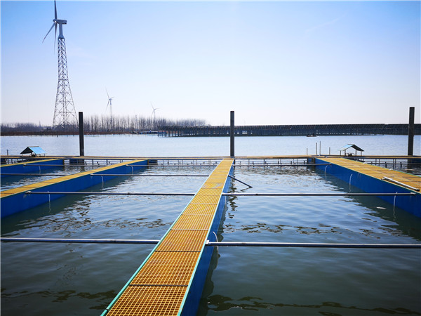 f402c10432163a22d3ad946e24257d95