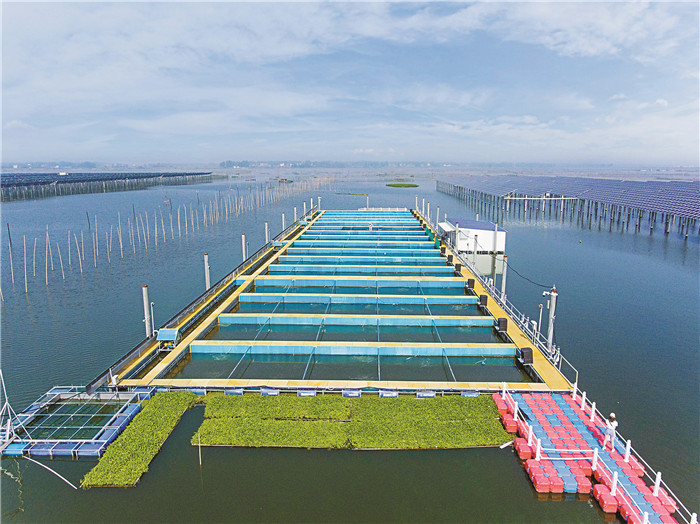 e7dd4c2788625ec919b23052d9a2ac00