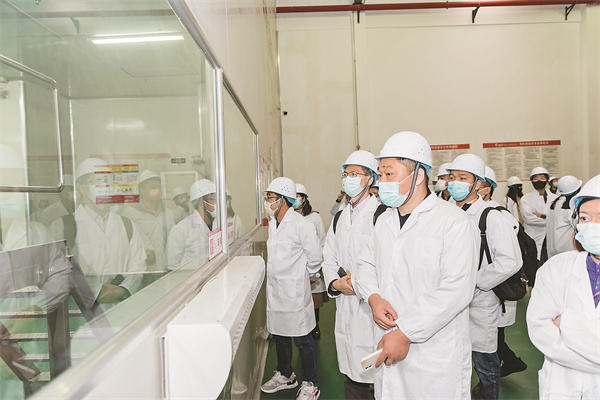 9de9c62c42057eb1bcdcfeae600052a0