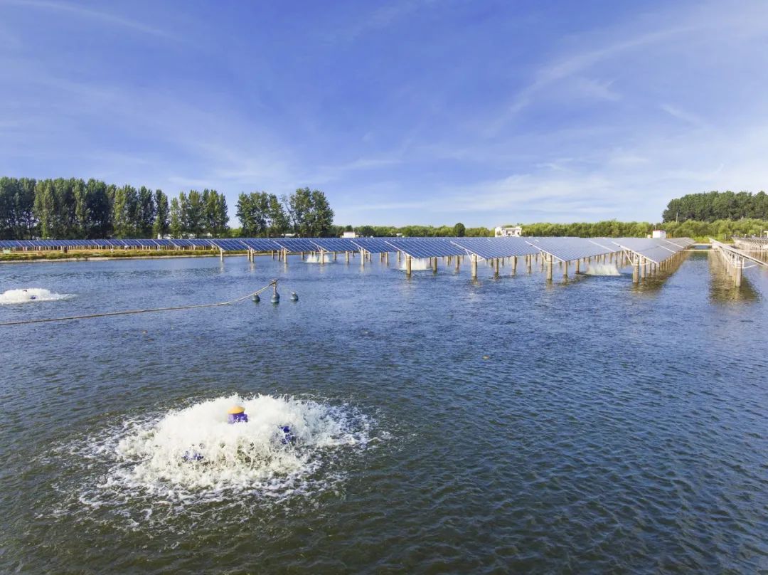 亚洲必赢国际·437ccm(中国区)官方网站