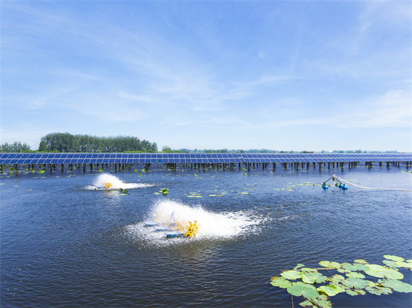 490ac2b918e314e79a595b864d96fd8f