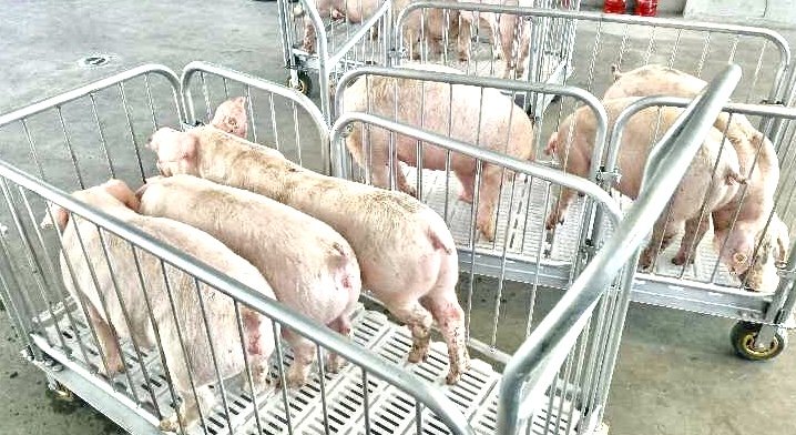 亚洲必赢国际·437ccm(中国区)官方网站