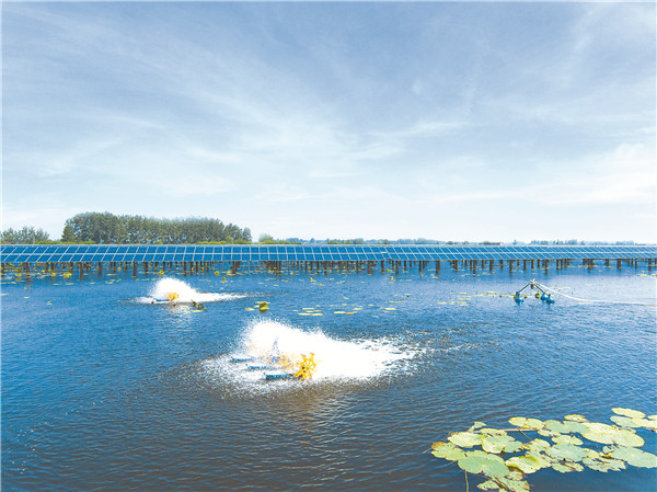 401f7242bee6654ef2cfe25745cb68db