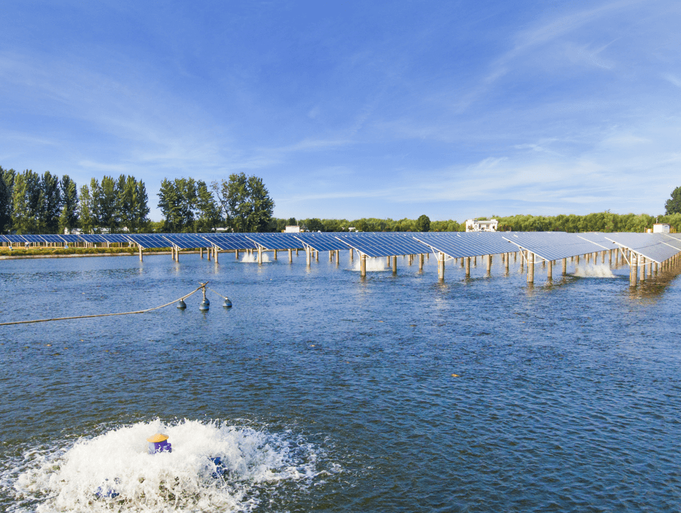 a14cc59bb9213534bd1a805945231b76