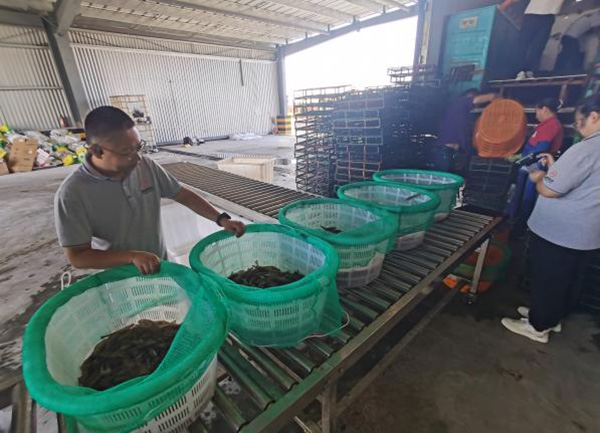 6cbd54dcb6557cce26b83438304bbdc0