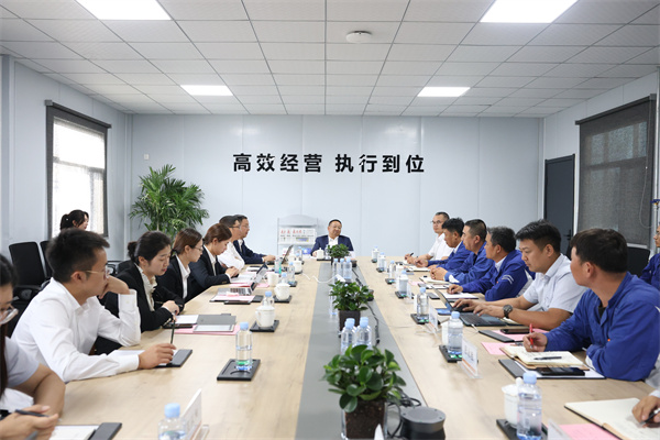 63c4fb13c717b9247bdaa6e92ff23307