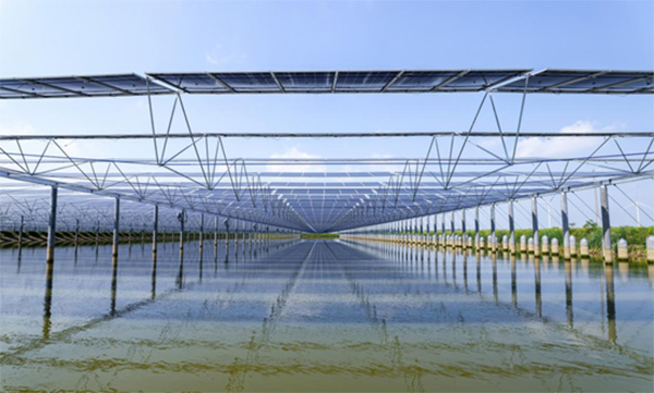 4e4dfdc6f990a79dc77d6c8791b4d9a6