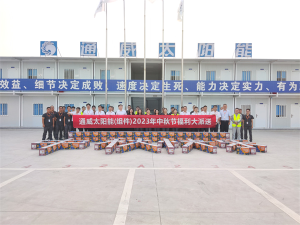 b6a11a71de835ba1b8109c91f1009772