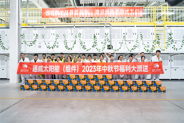 d617aba8e7c8e47e1a7f40aa181c20e2