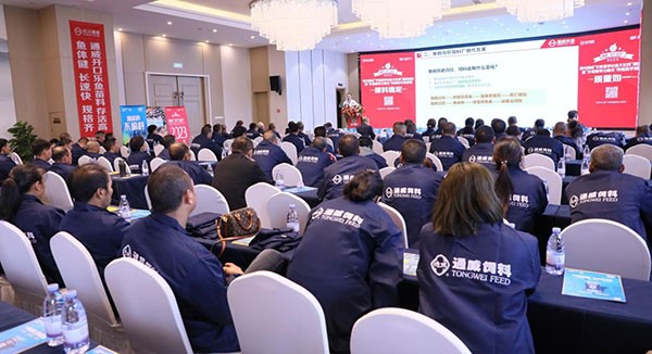 4956a21e10395c589b084b34c4257482