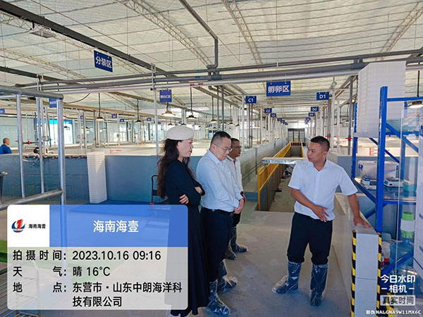 9f88f32b71bfb332d3077e651397c869