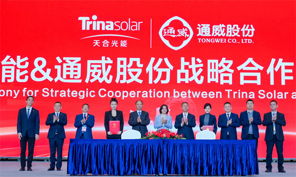 053c7d5da5c07f34a5502b01e26be688