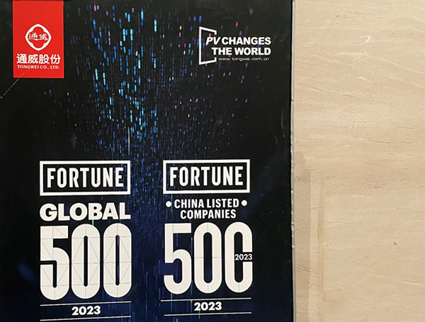 19743a16b7cf9abacd27653ec77f6f43