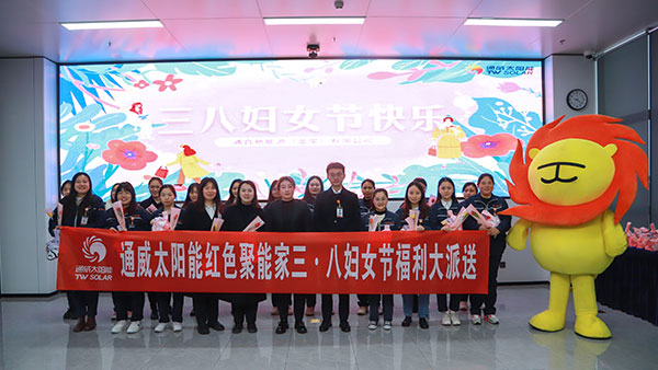 48e05fd5136c8d525d8f22ccba7ad3a5