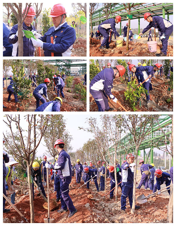 7cbe8f913c8b67bd996edf567380ecf2