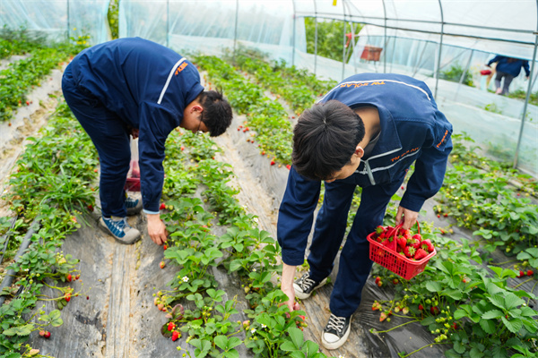 60fbe0426c9a51f5e42519ea4ae6f260