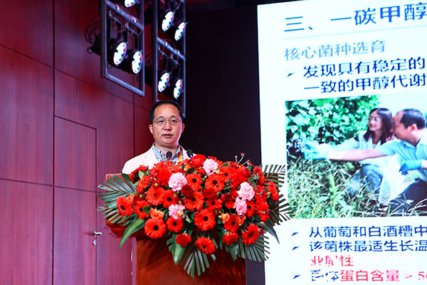 8a260643346a42fd723deb6ef578e107