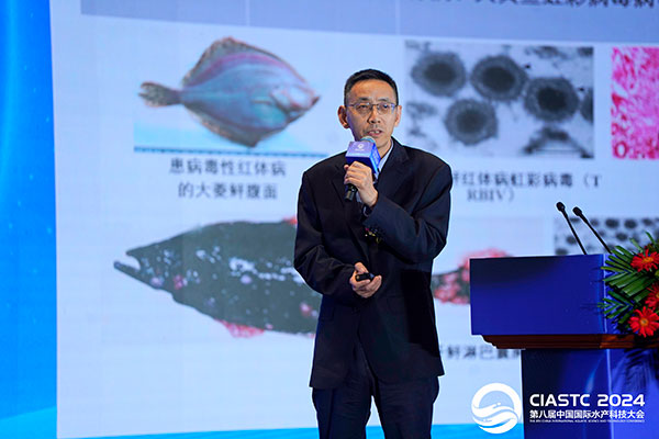 ad8f331dfa84705eb1414e1a81270b37