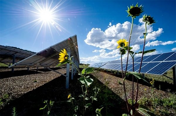 8246acc70c0b43fb73cee38532a4a291