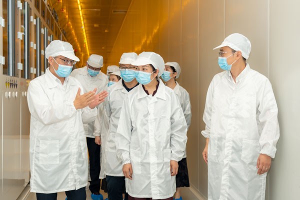 aaec0d805dc4ca9c5152ed7132985f8b