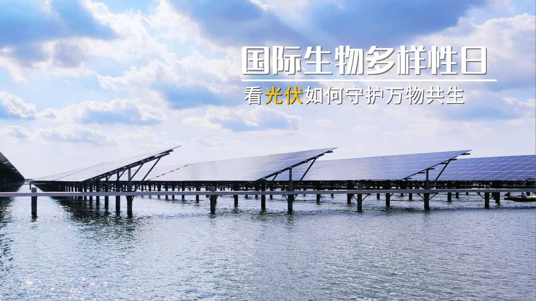 bd9b3738103b27ca35e855688b41b072