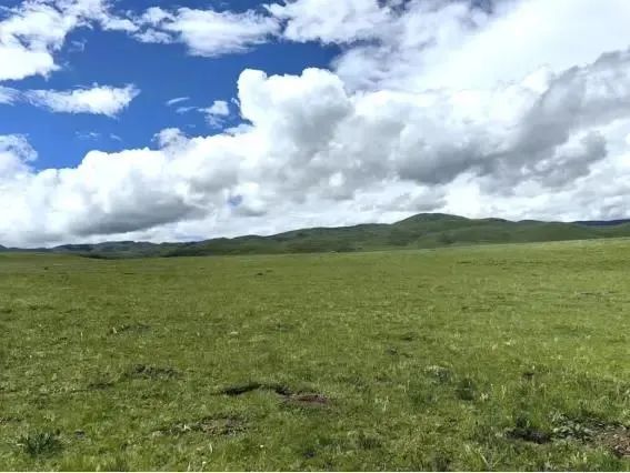 ad5490213288c371fd42dc36df587fda