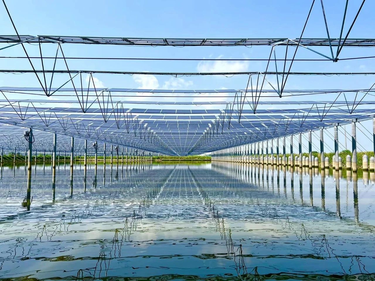 亚洲必赢国际·437ccm(中国区)官方网站