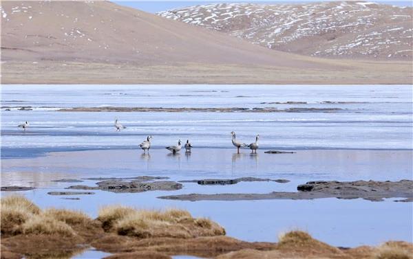 4d246108498833db893ae274a93c34dd