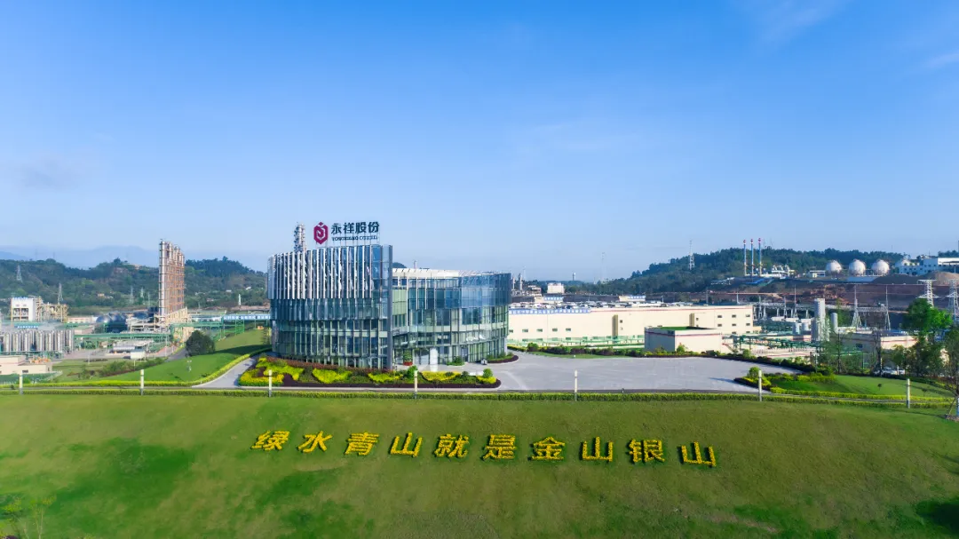 a8139939fa81b5a2254c5bc3416210eb