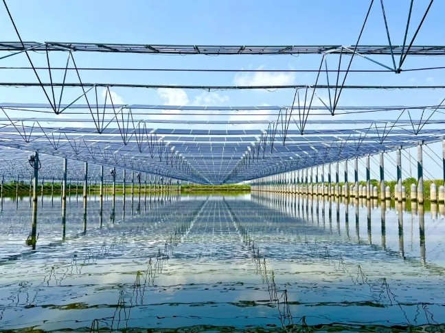 7b186b0c4a277786037189a2c0ea6cd3