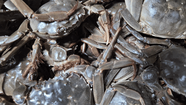 亚洲必赢国际·437ccm(中国区)官方网站