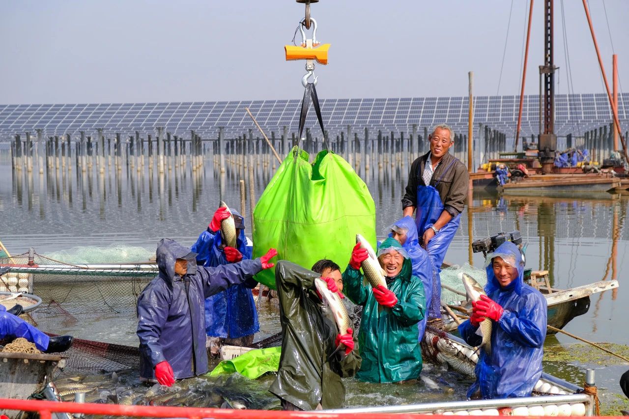 亚洲必赢国际·437ccm(中国区)官方网站