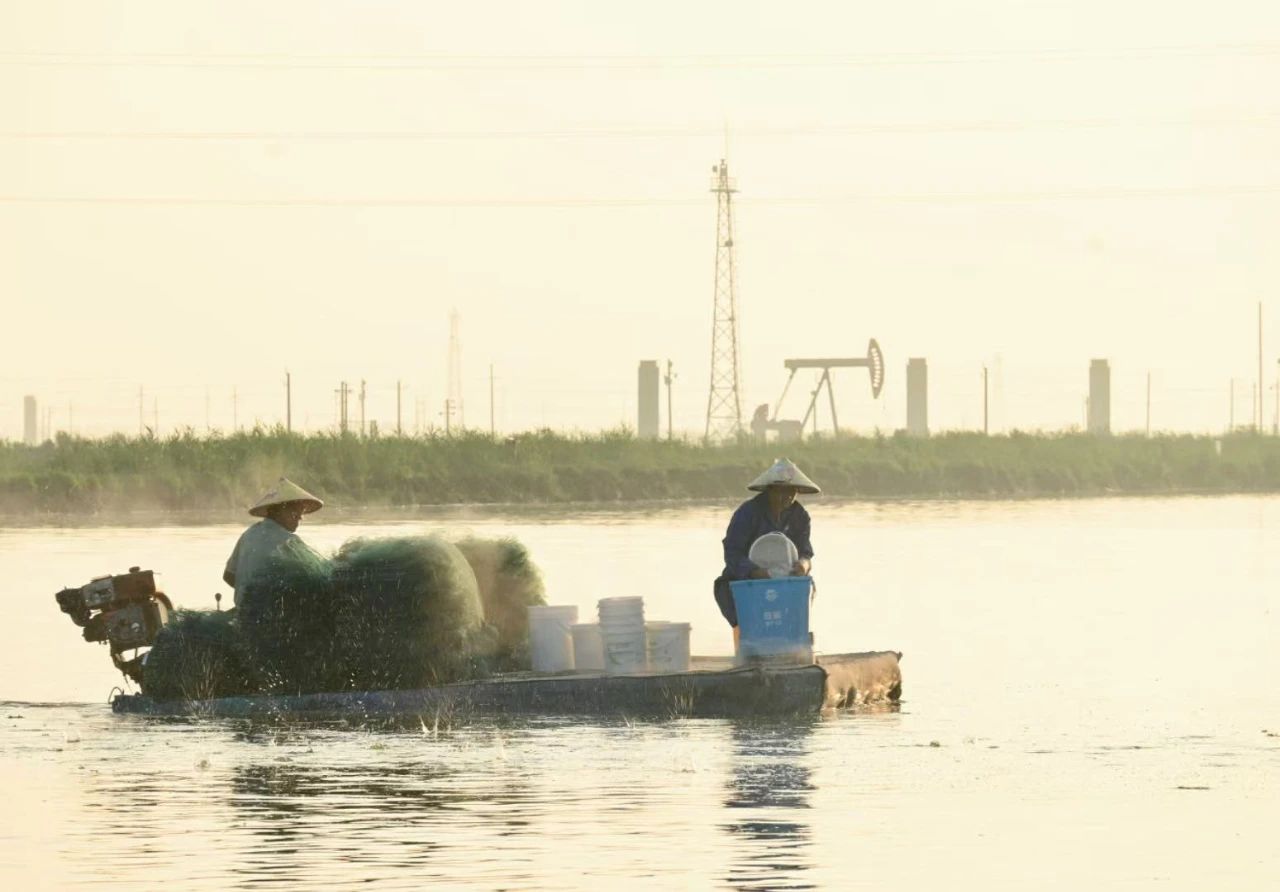 亚洲必赢国际·437ccm(中国区)官方网站