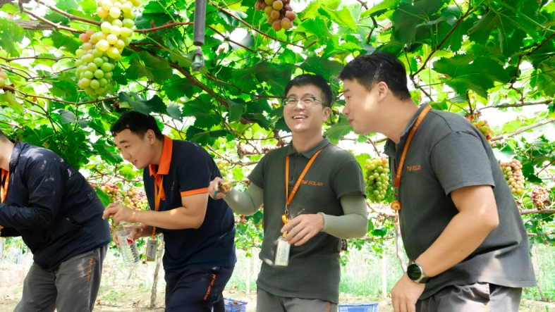 亚洲必赢国际·437ccm(中国区)官方网站