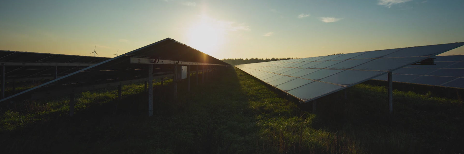 6239083252915b88b7a98850515d3d19