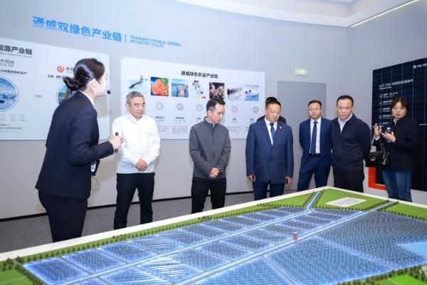 0648ac3e4e6e6e4a8871d63d77f3b7e8