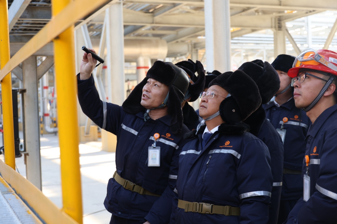 3d54c47e1d844388dda50721c703d910