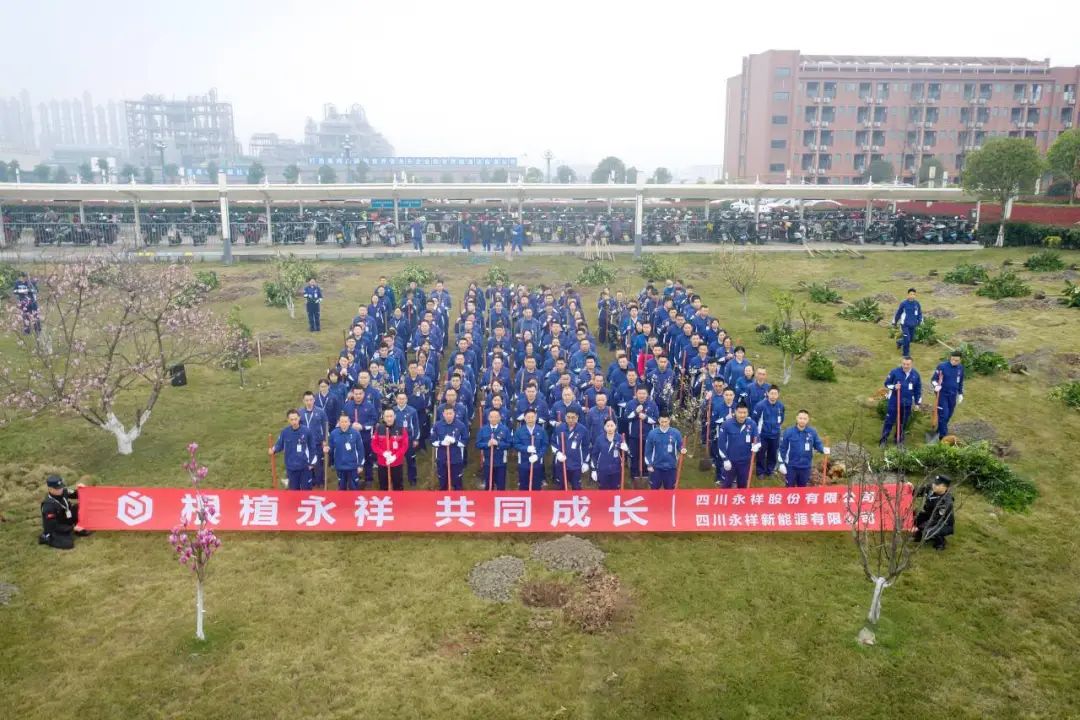 08b65476053f381cef6b9a625d9de709