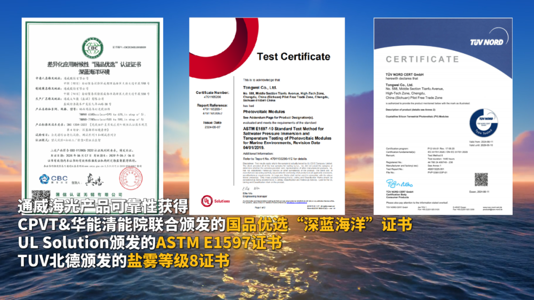 3b78088149425742176637d5a6a689aa