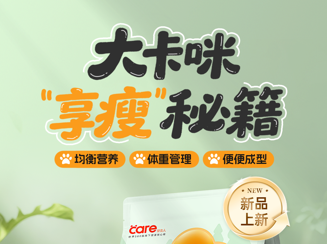 eaf7a937586654fcd5ba6dbd6d7eca56