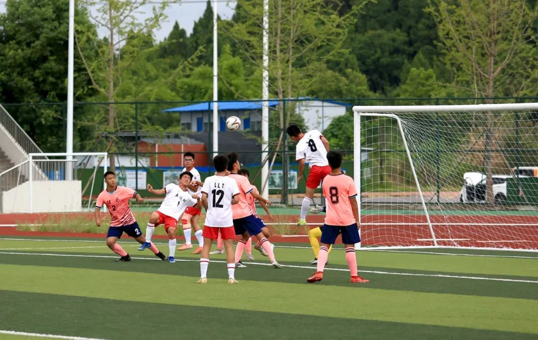 82f22b618abb048c96805e83eb620592