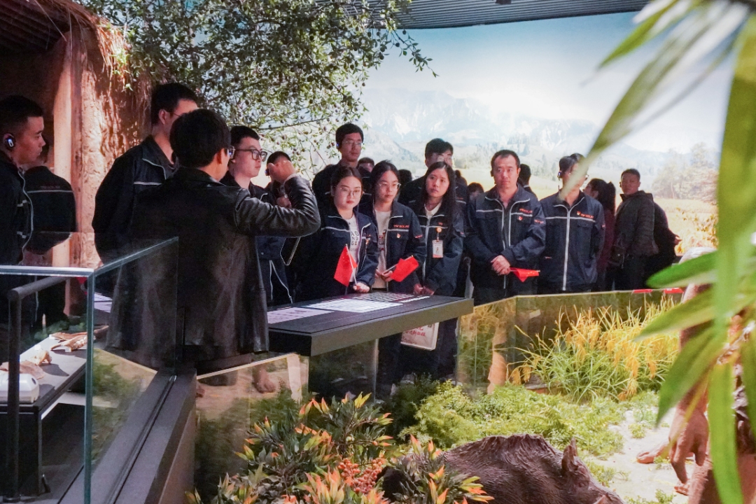 8f1821d60c157d4170e5e451b1a5599b