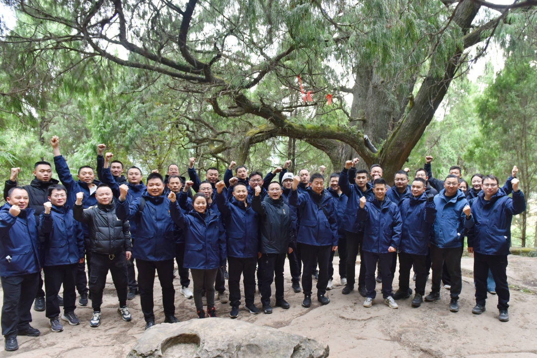 af1ea27dcc7bc2728c226ad67d7a3566