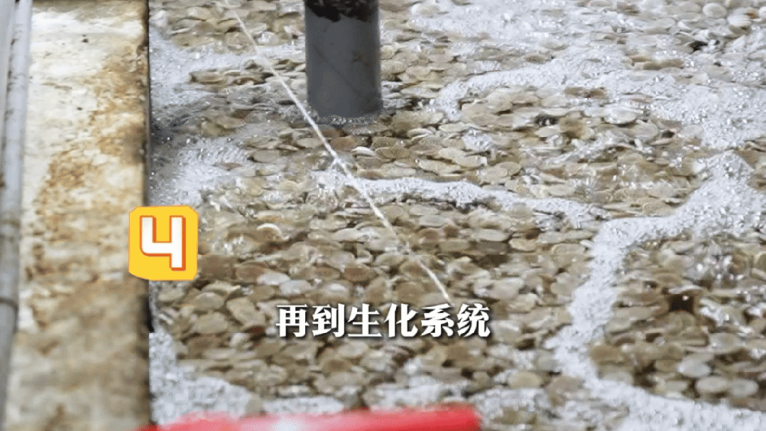 3150cfd3537cafc3fd318dad8a1c6d1c