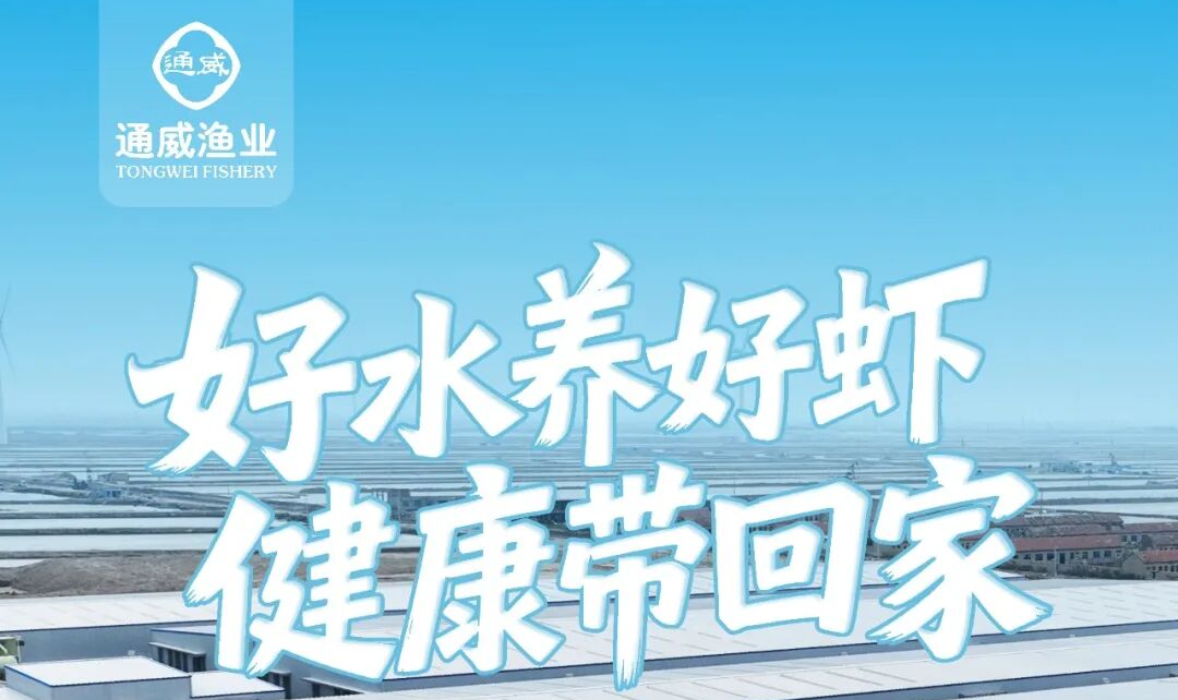 f3617d51141d2112b77322939d5db6e5